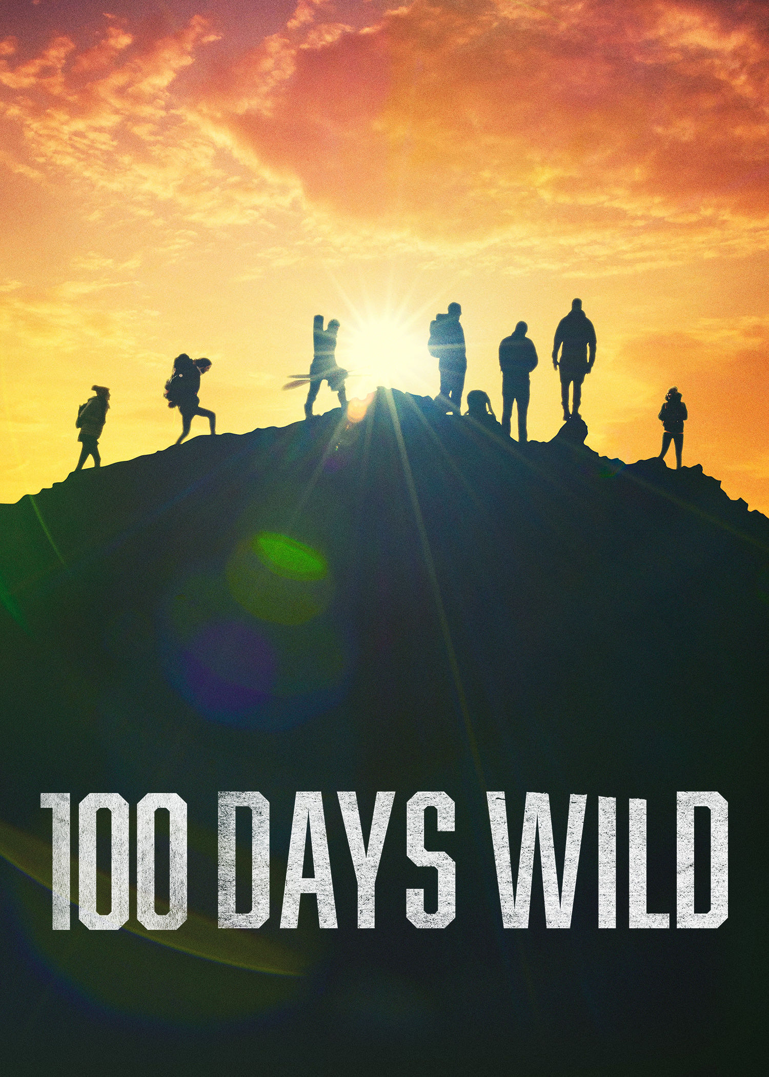 100 Days Wild