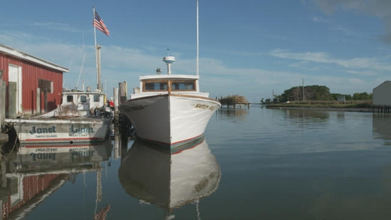 60 Minutes (US) S57E12 Notre Dame | Smith Island | Kate Winslet | Welcome to the Wedding
