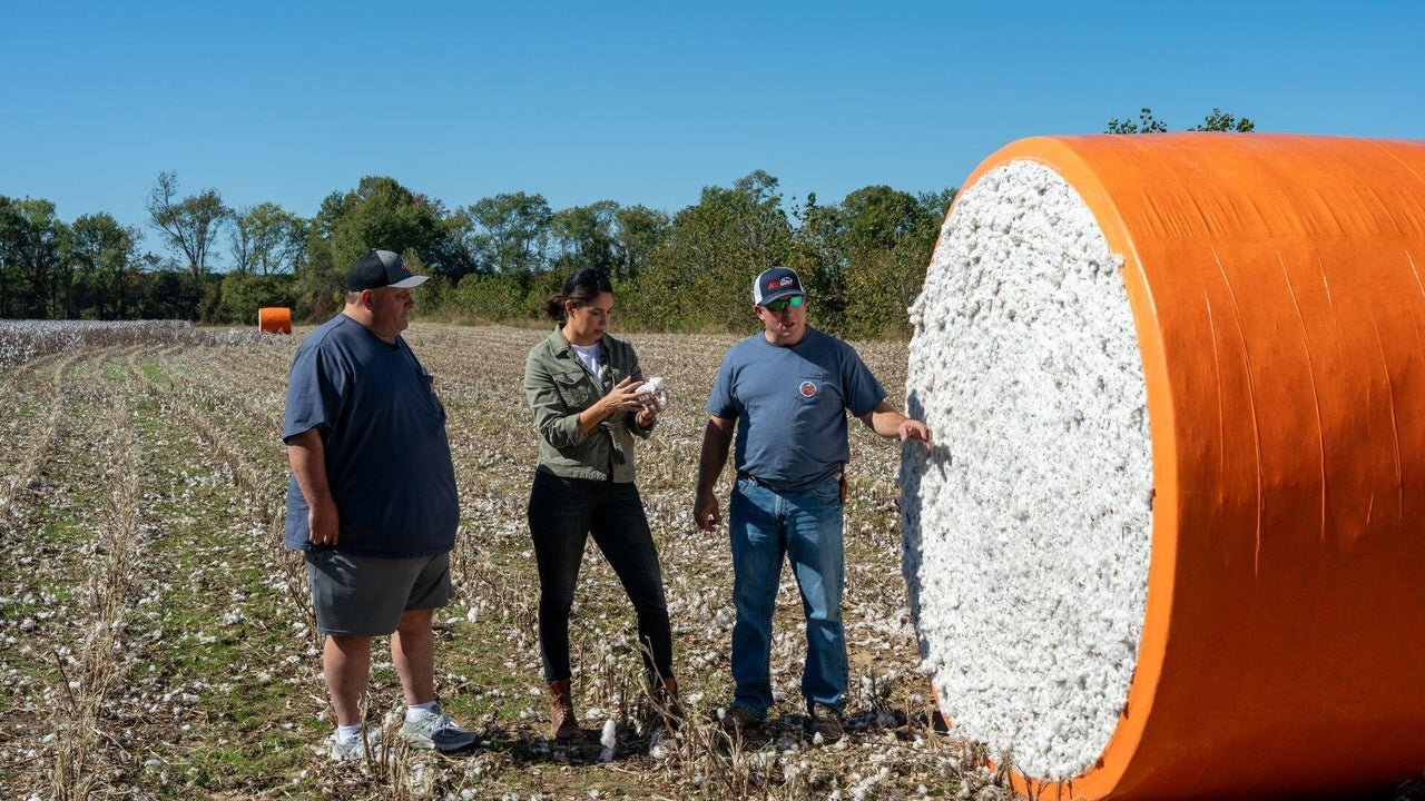 60 Minutes (US) S58E7 The Family Farm | Collateral Damage | The Indomitable Margaret Atwood