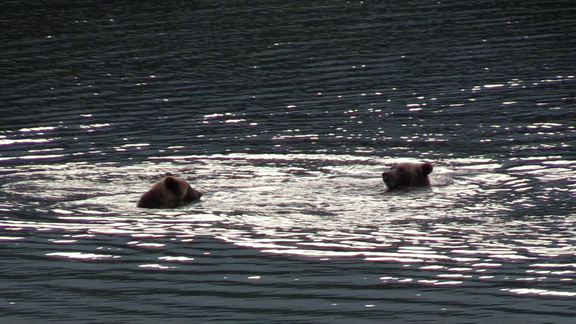 Alone S8E9 The Troll