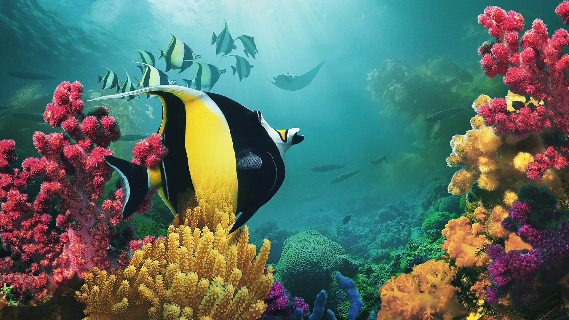 Asia S1E1 Beneath the Waves