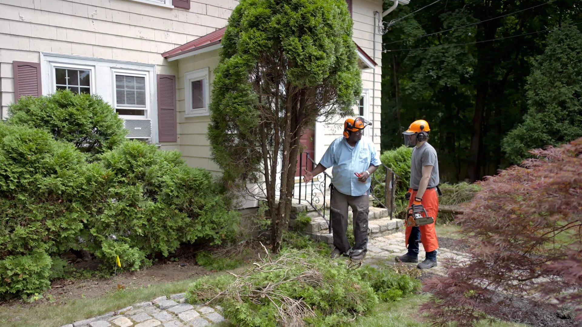 Ask This Old House S23E10 Trash Insert; Arborvitae Removal