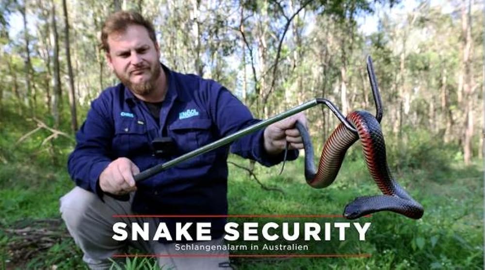 Aussie Snake Wranglers