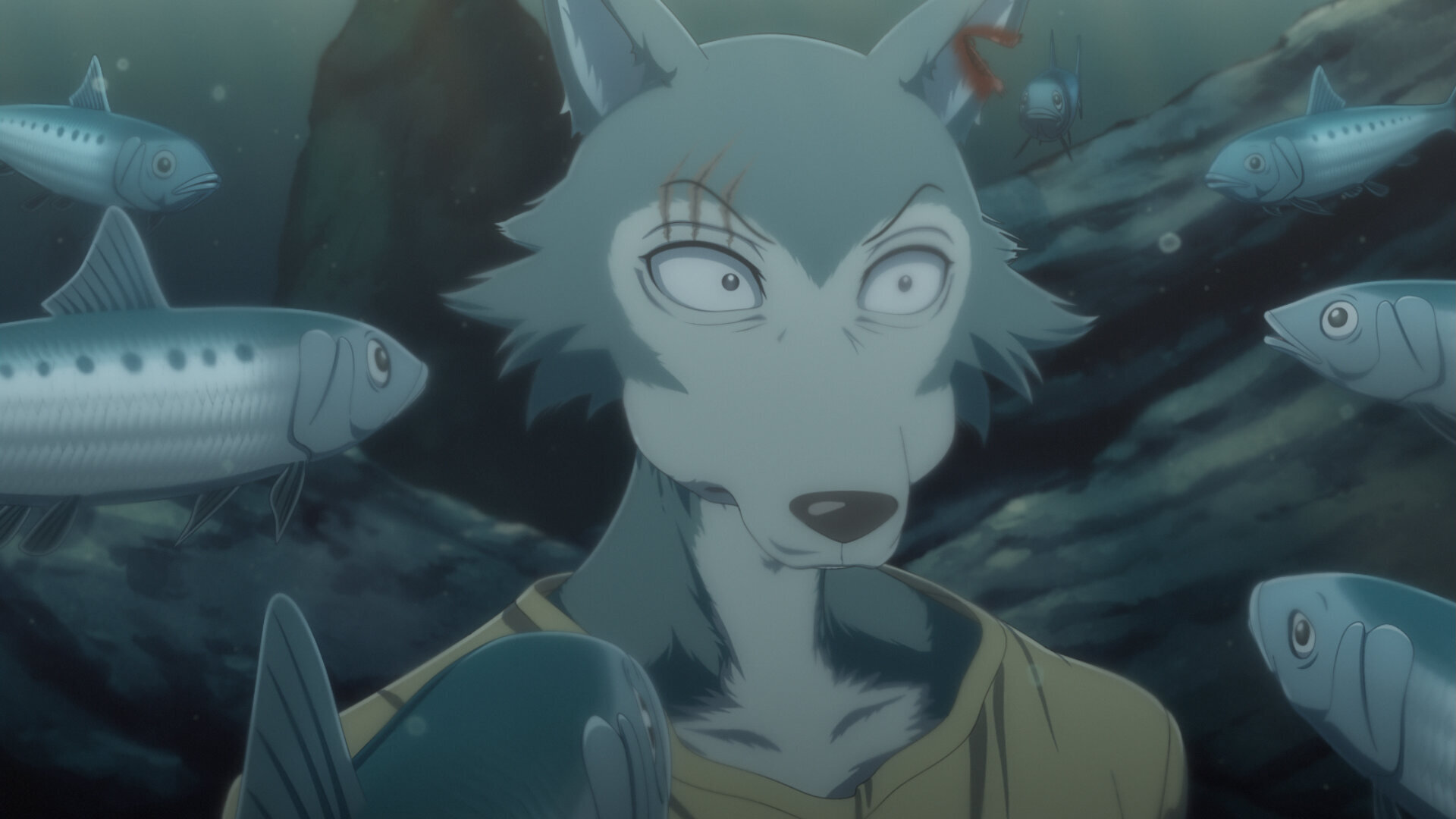Beastars S3E13 A Threefold Dilemma