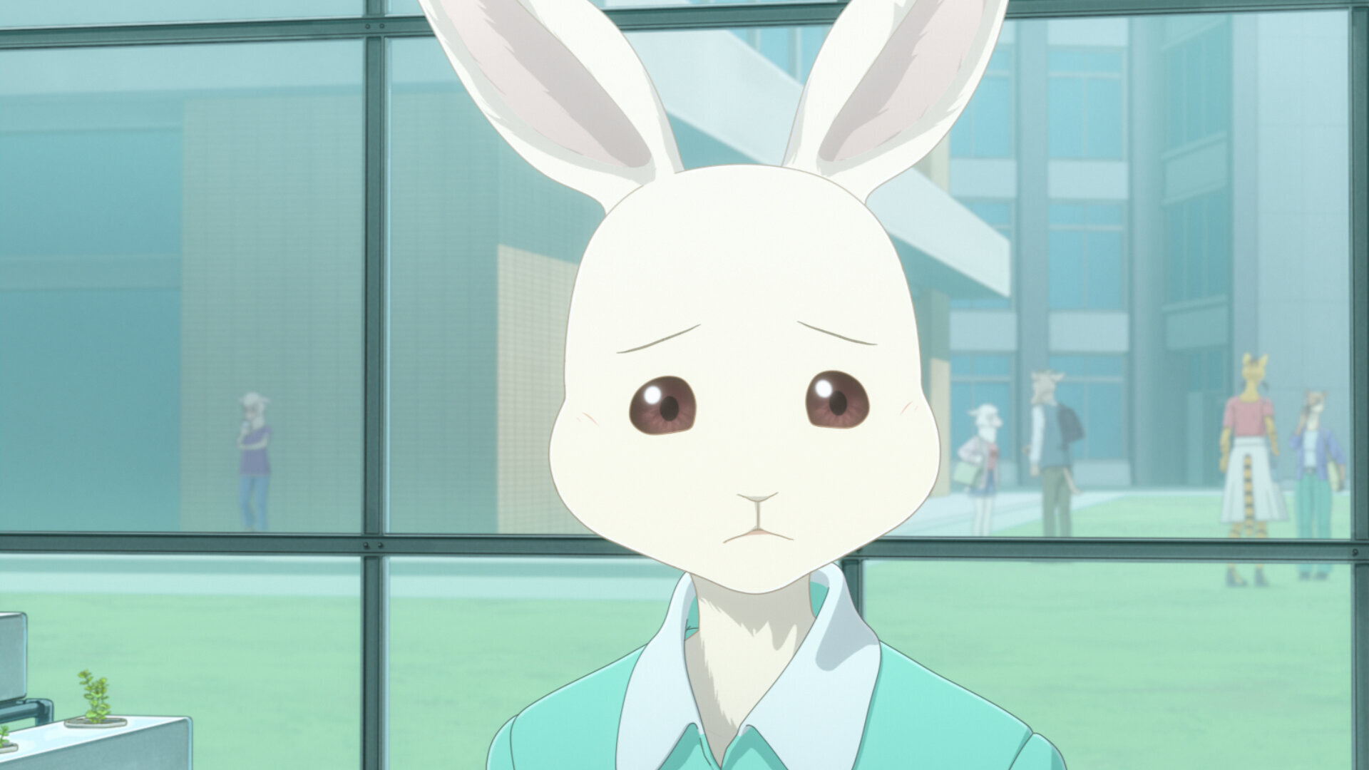 Beastars S3E20 Gotta Buy a Step Stool
