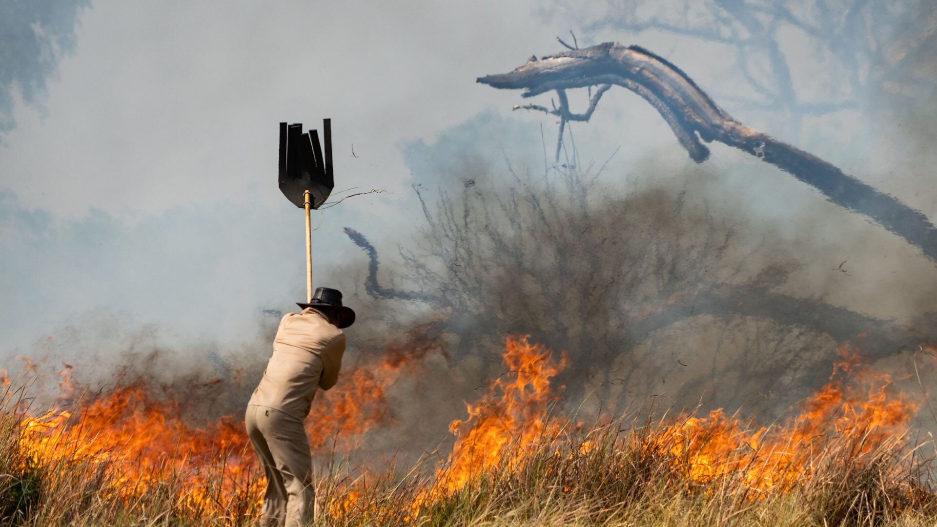 Big Cats 24/7 S1E1 Episode 1