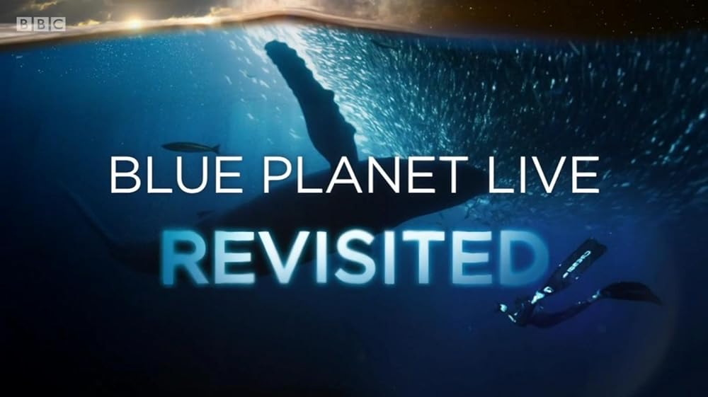 Blue Planet Revisited