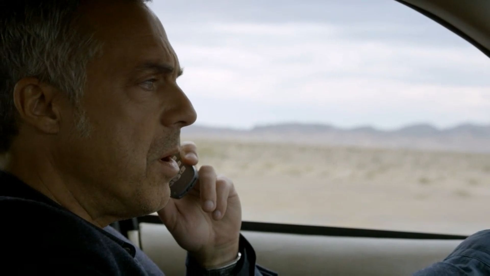 Bosch S1E6 Donkey's Years