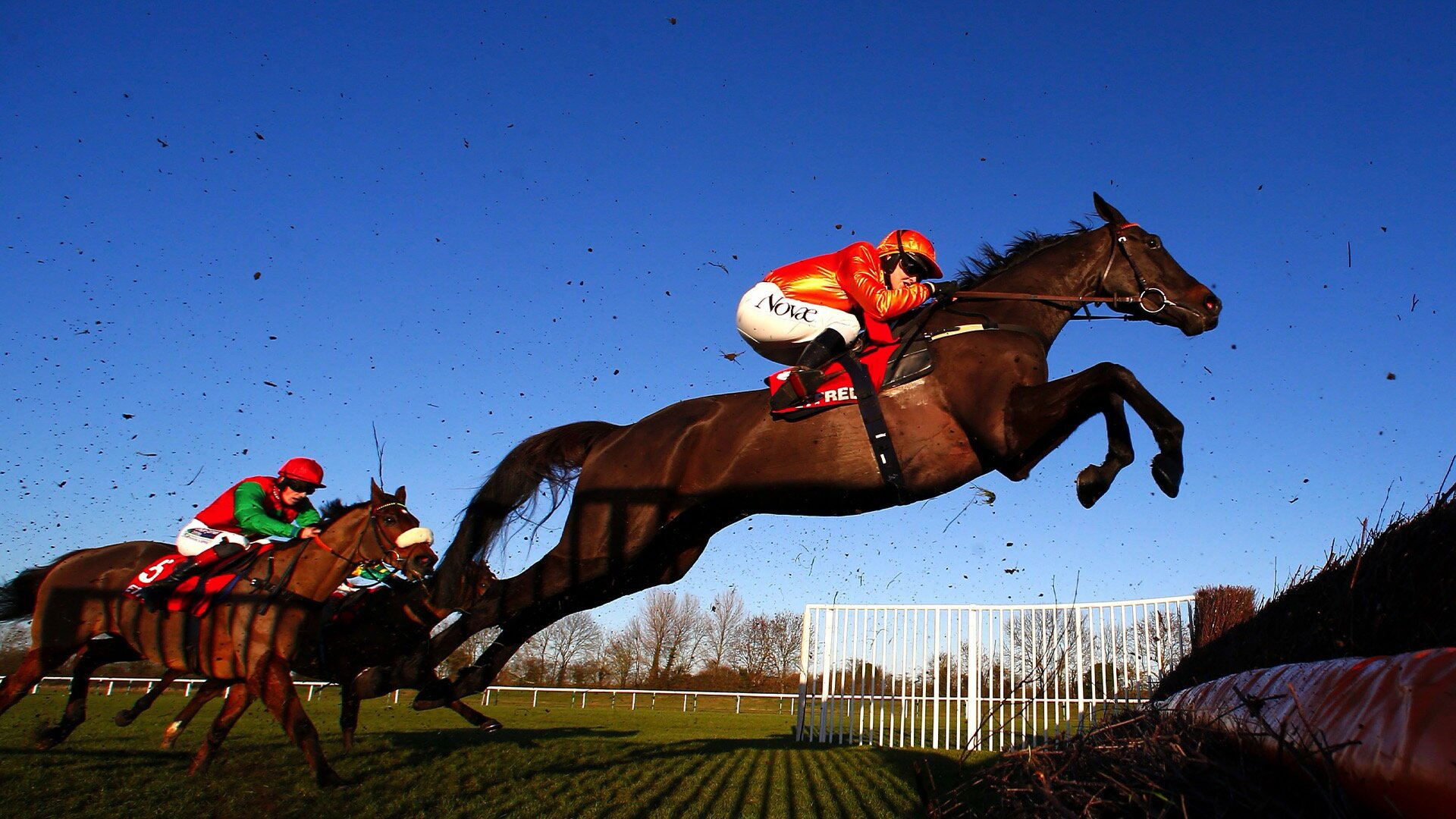 Champions: Full Gallop S1E1 David vs Goliath