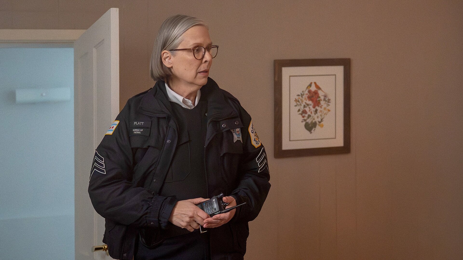 Chicago PD S13E9 Heroes