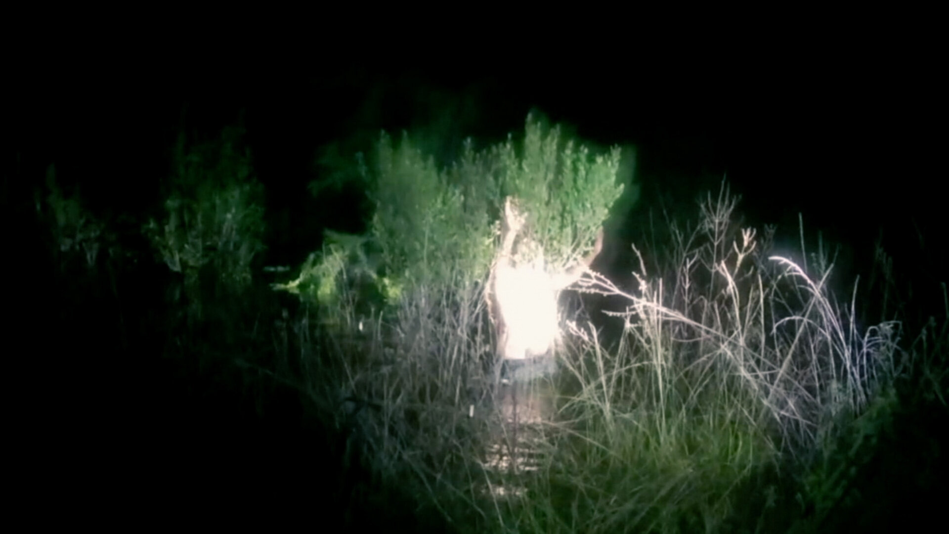 Chopper Cops S2E1 Swamped