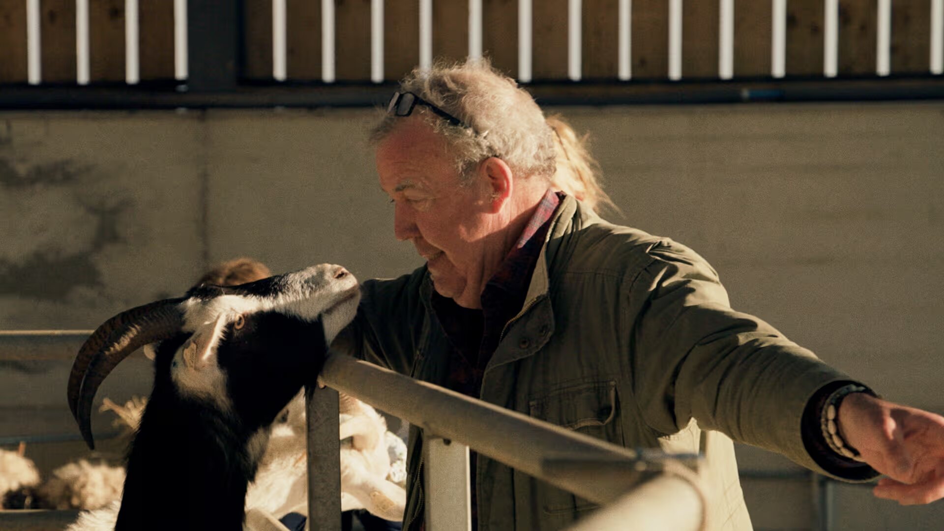 Clarkson's Farm S5E5 Decapitating