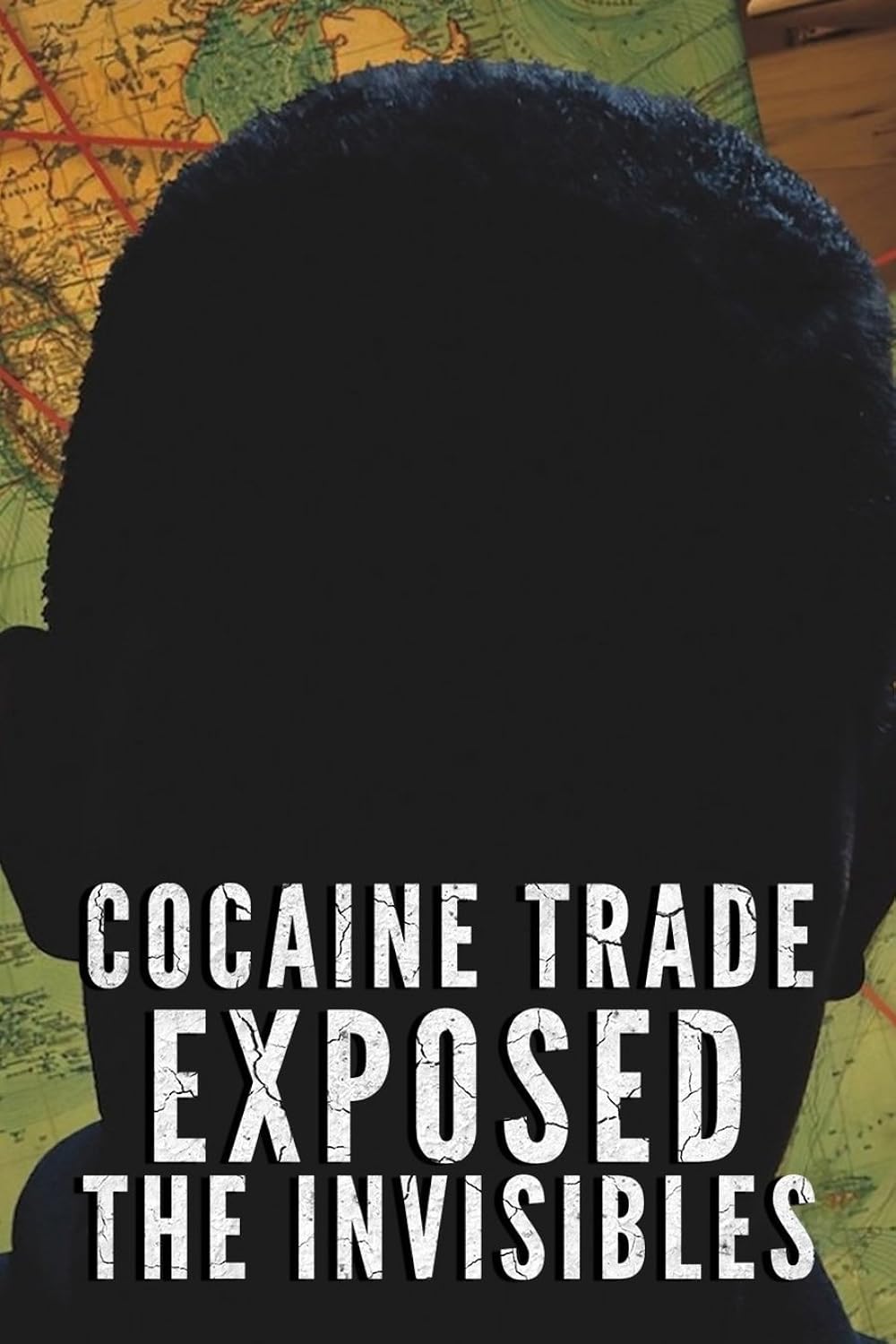 Cocaine Trade Exposed
