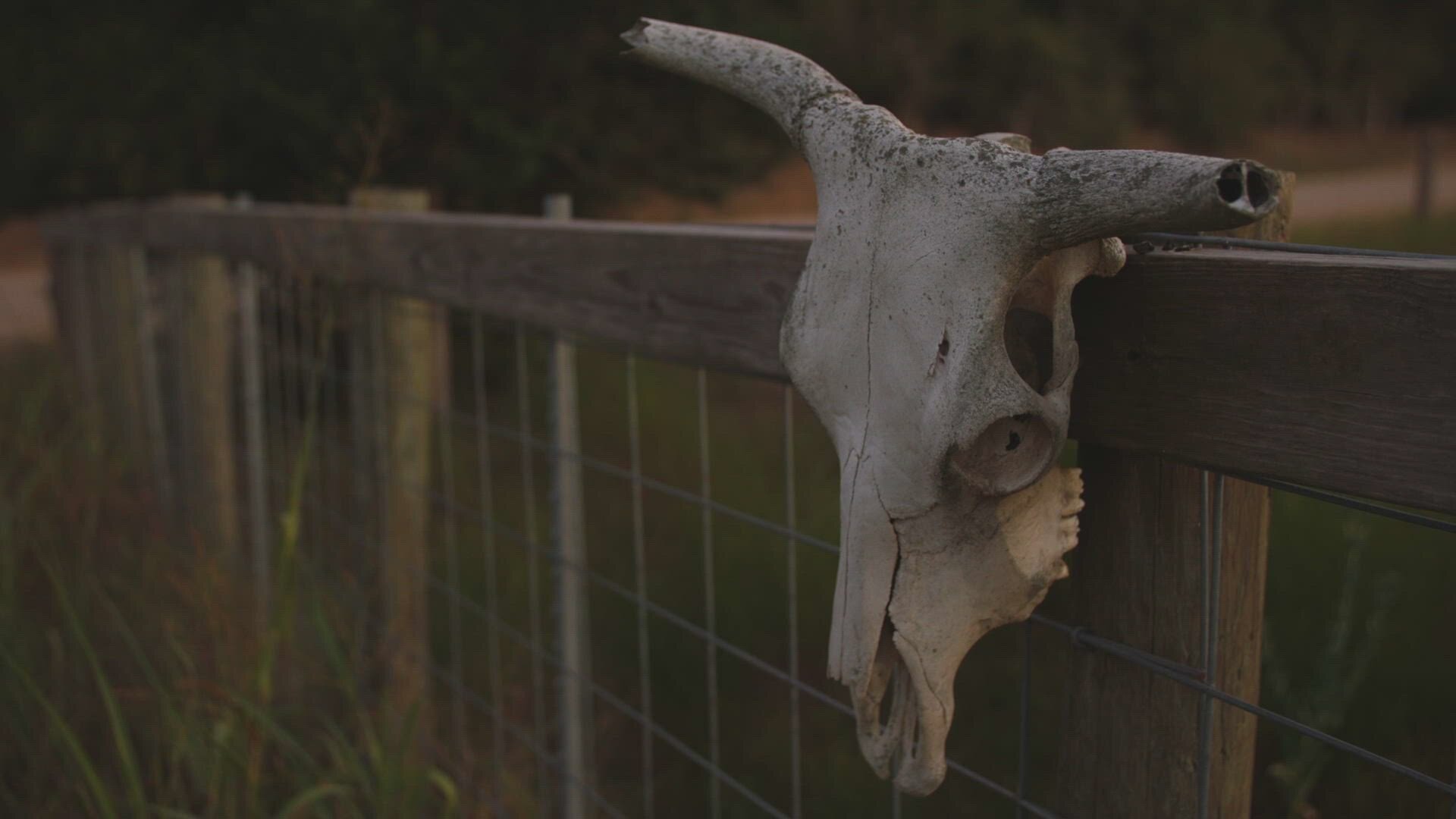 Cold Case Files: Dead West S1E1 Mystery In Cuero