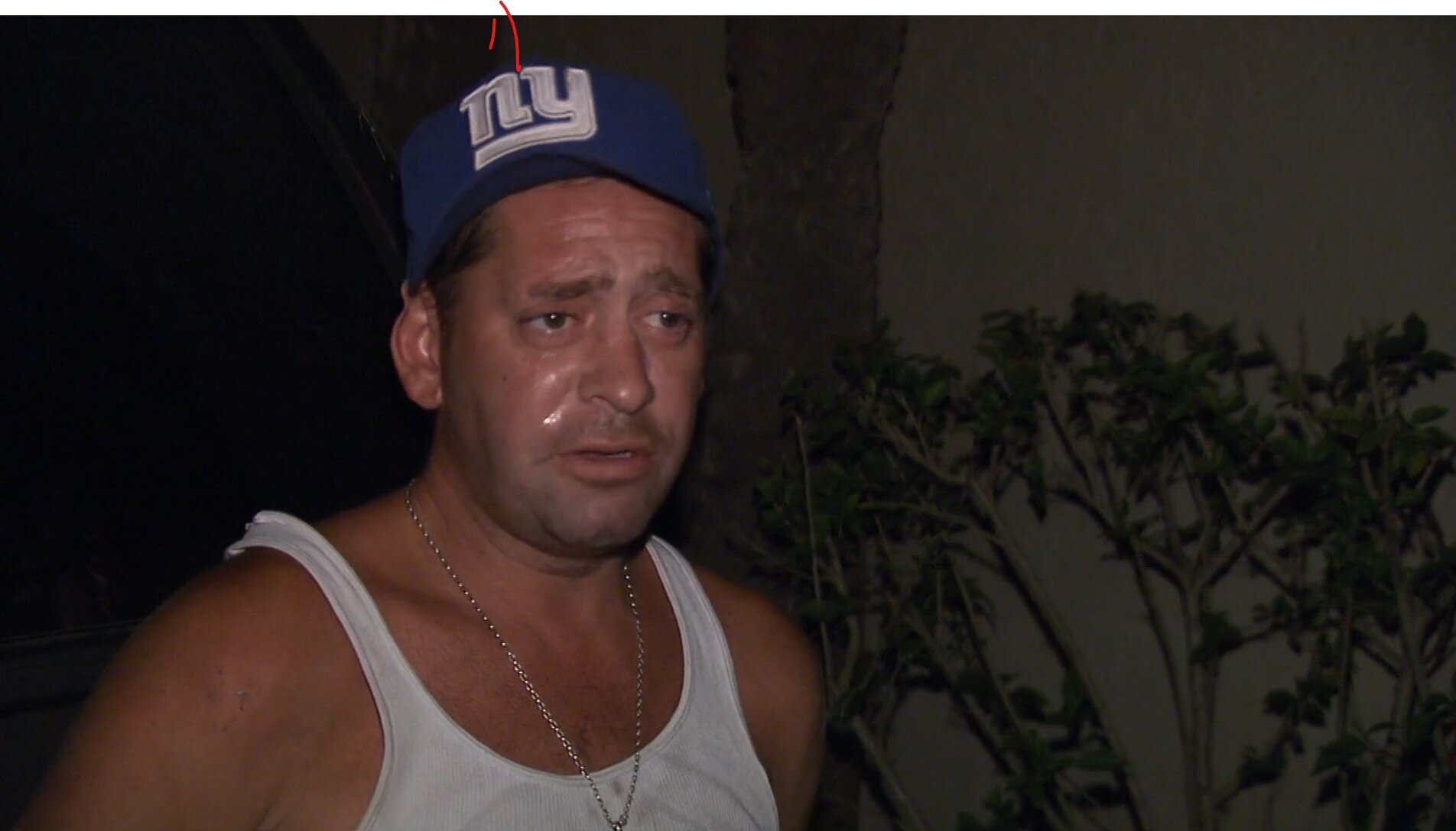 COPS S29E8 British Invasion