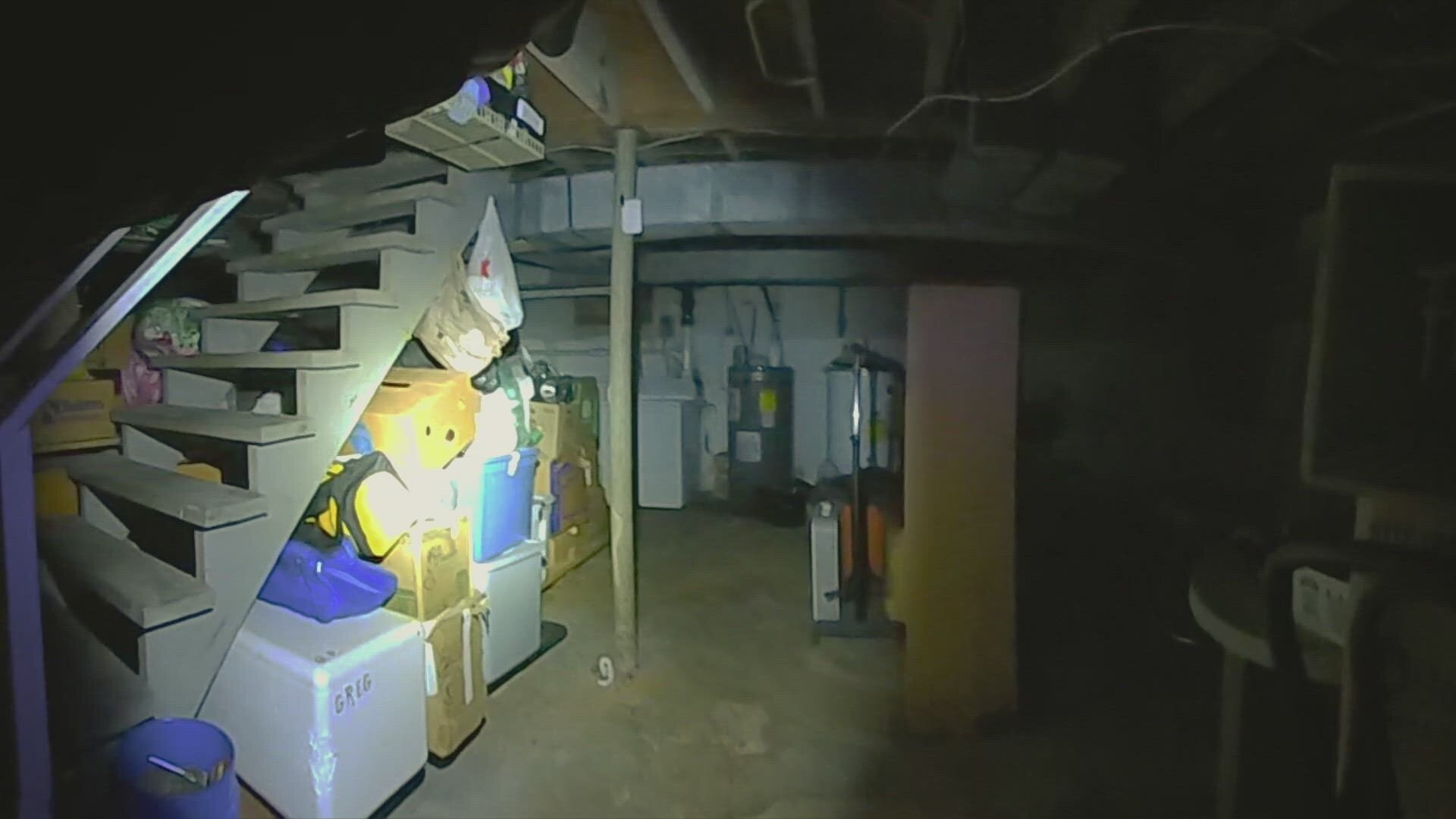 Crime in Progress S1E2 The Roommate Killer