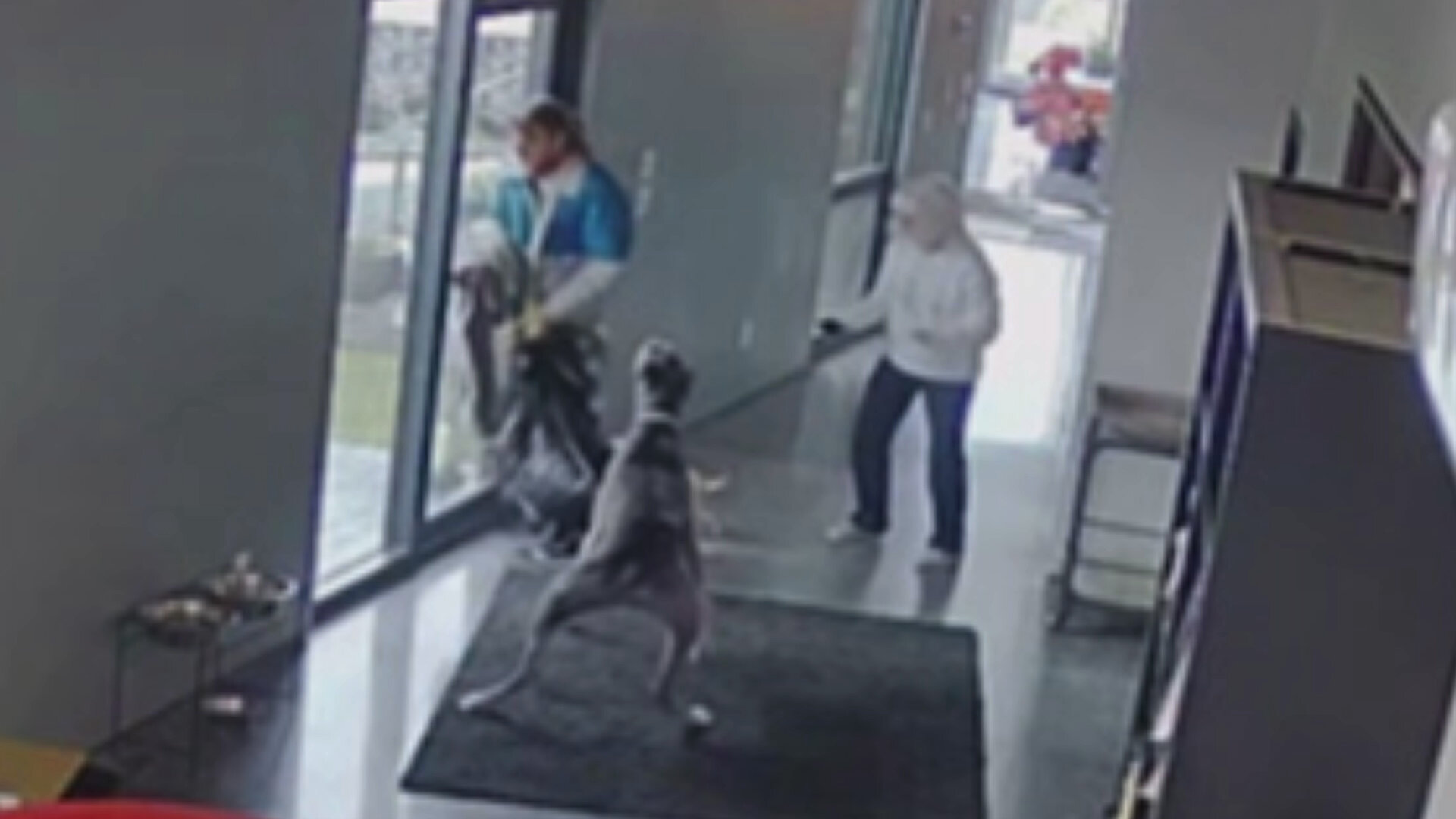 Crimes Gone Viral S1E11 Watch Dogs