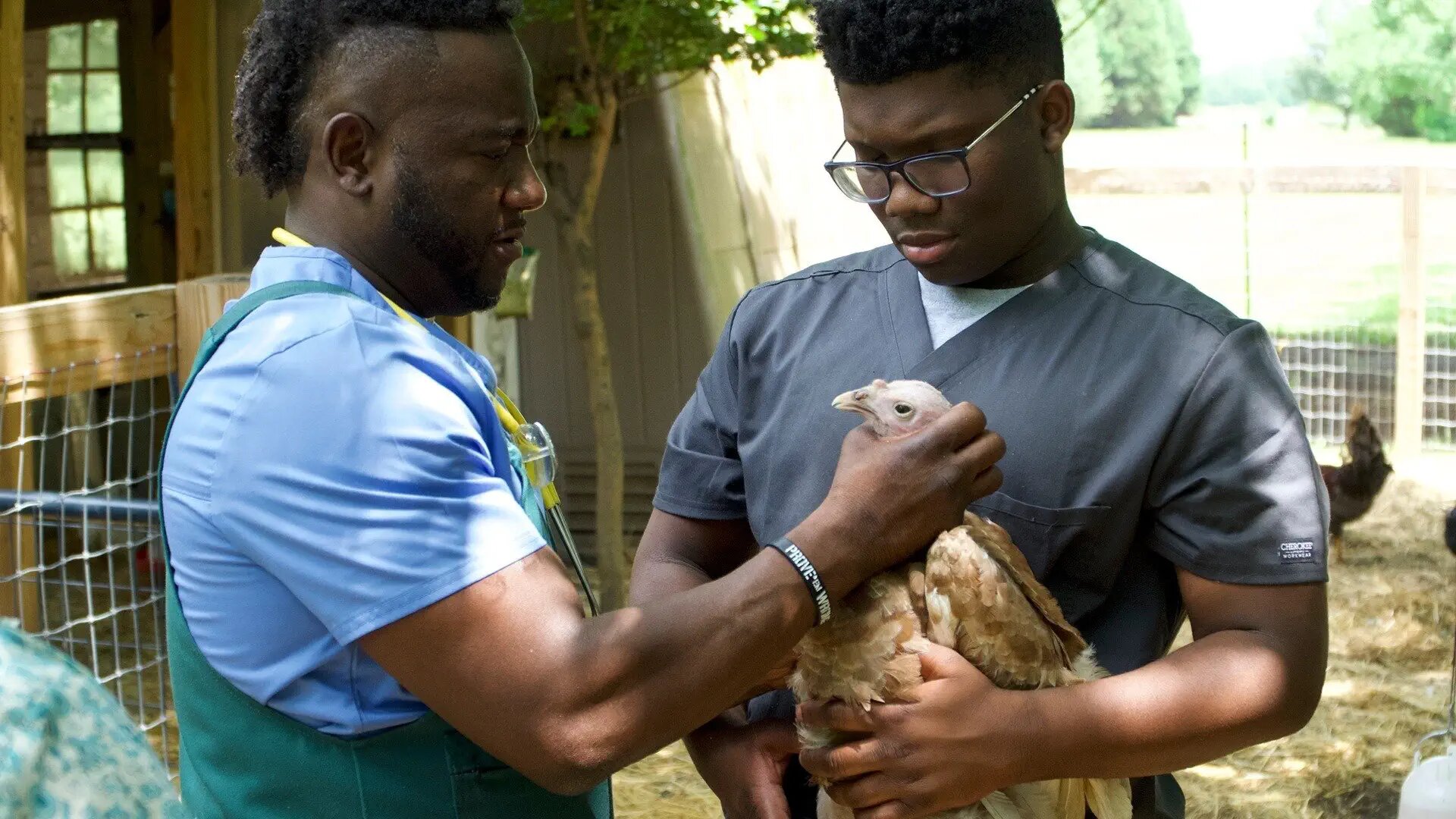 Critter Fixers: Country Vets S3E1 Vet for a Day