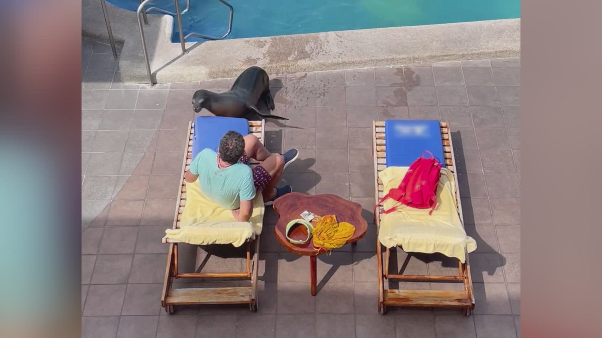 Customer Wars S6E9 Refund Rage