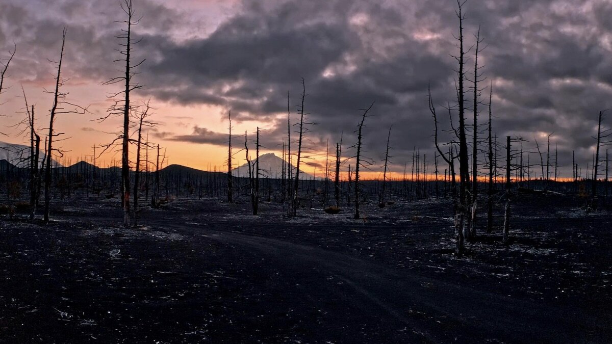 Discovered by Disaster S1E7 Ancient Cities and Enduring Creatures