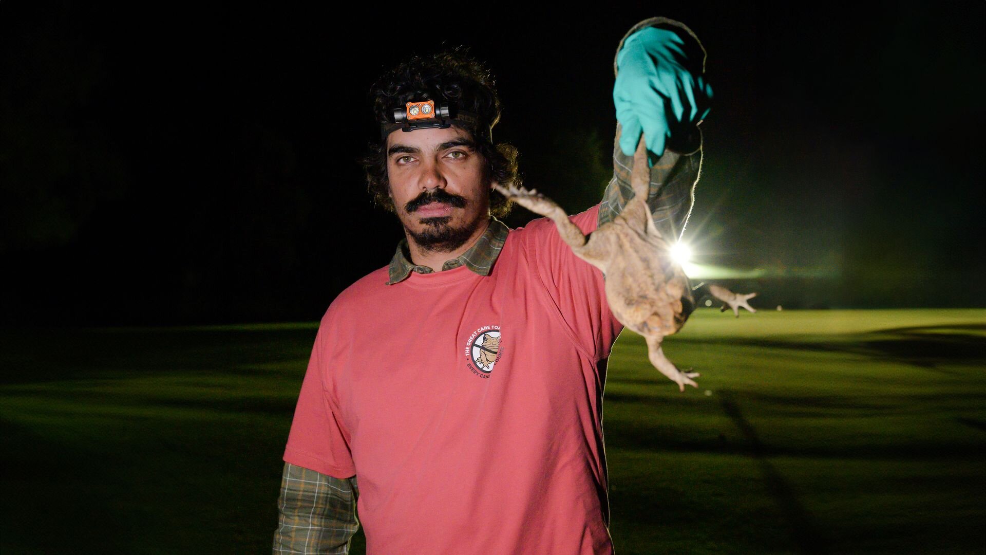 Eat the Invaders S1E3 Cane Toad