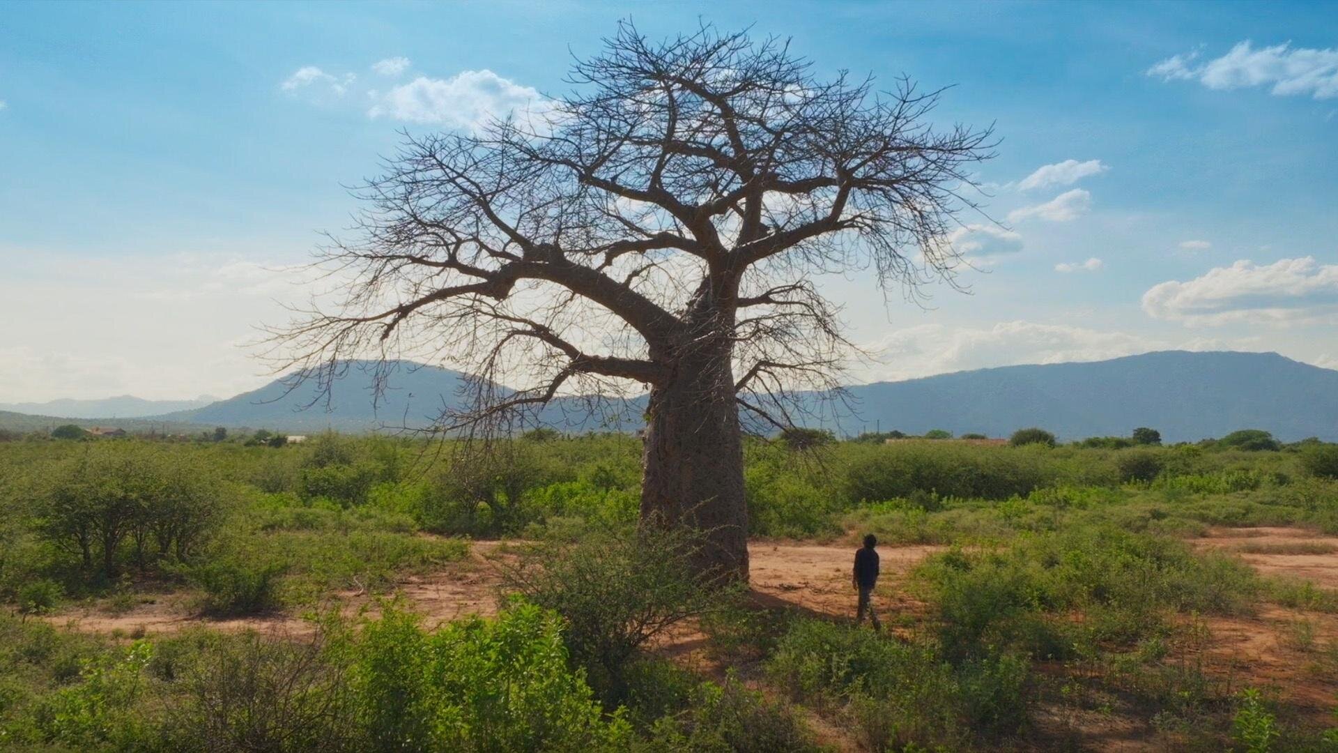 Empire: The World's First Superpower with David Olusoga S1E3 Episode 3