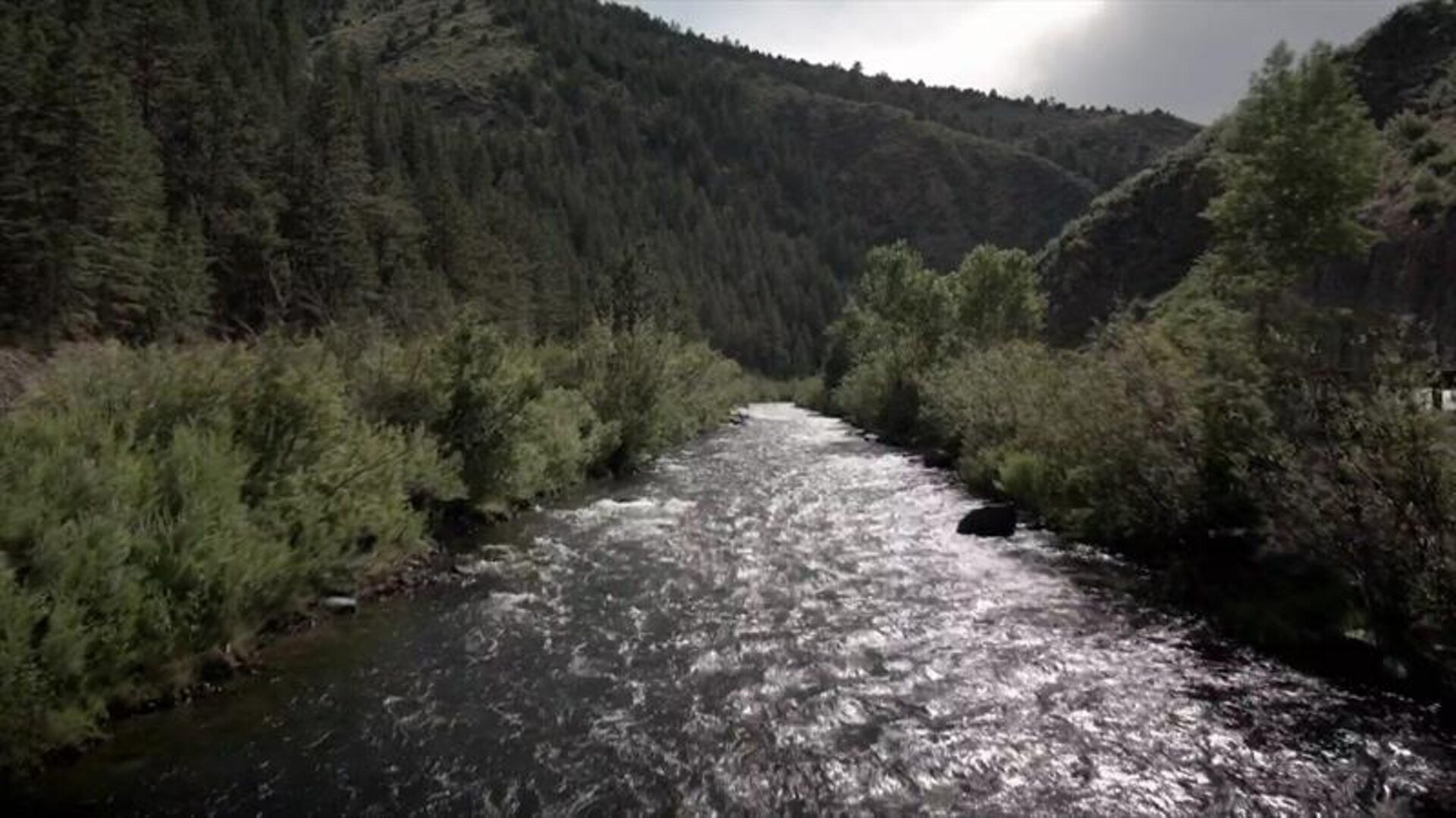 Fatal Family Feuds S2E3 Killer Custody Battle