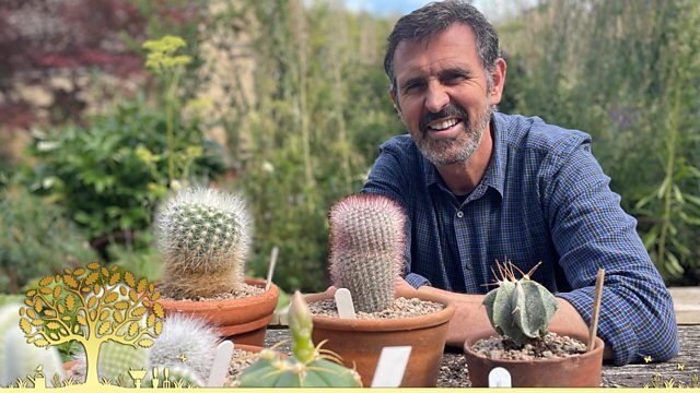 Gardeners' World S58E19 Episode 19