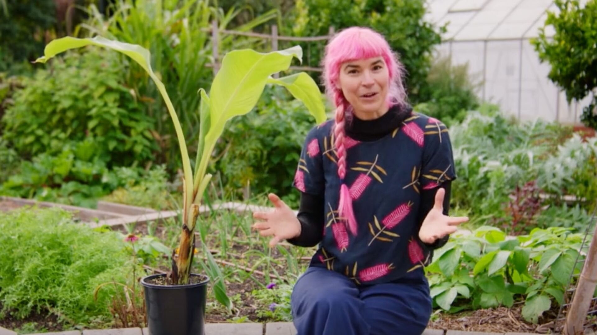 Gardening Australia S36E22 Episode 22 - Winter: Habitat Gardens & Plastic Free July