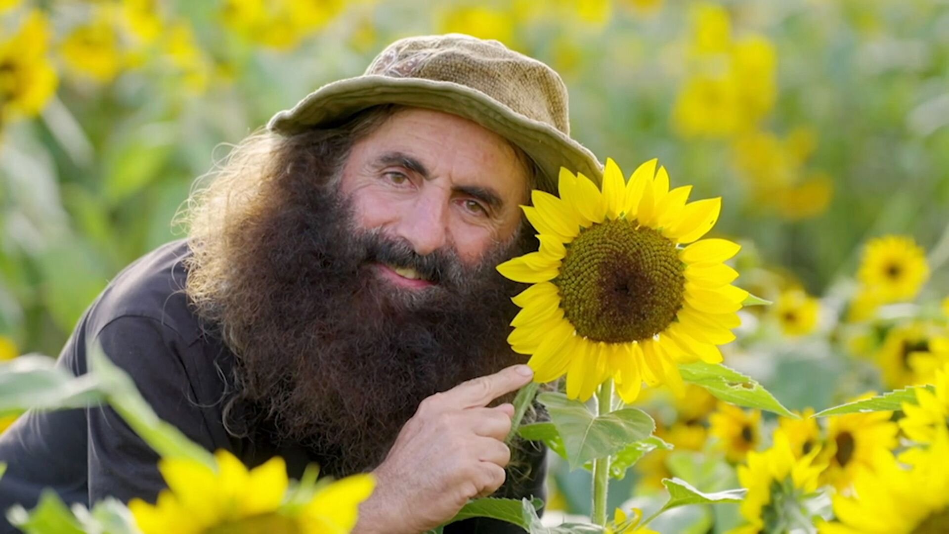 Gardening Australia S36E3 Episode 3 - Autumn: Cheery Sunflowers & Wonderful Witlof