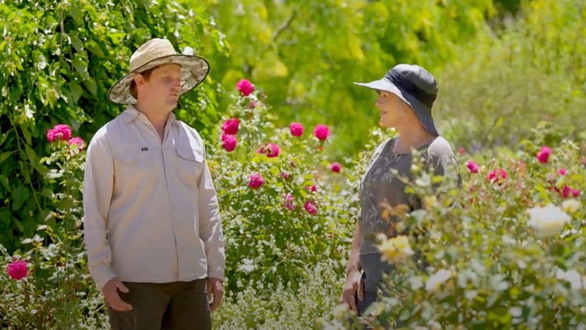Gardening Australia S36E41 Episode 41 - Summer: South Asian Crops & Butterfly World