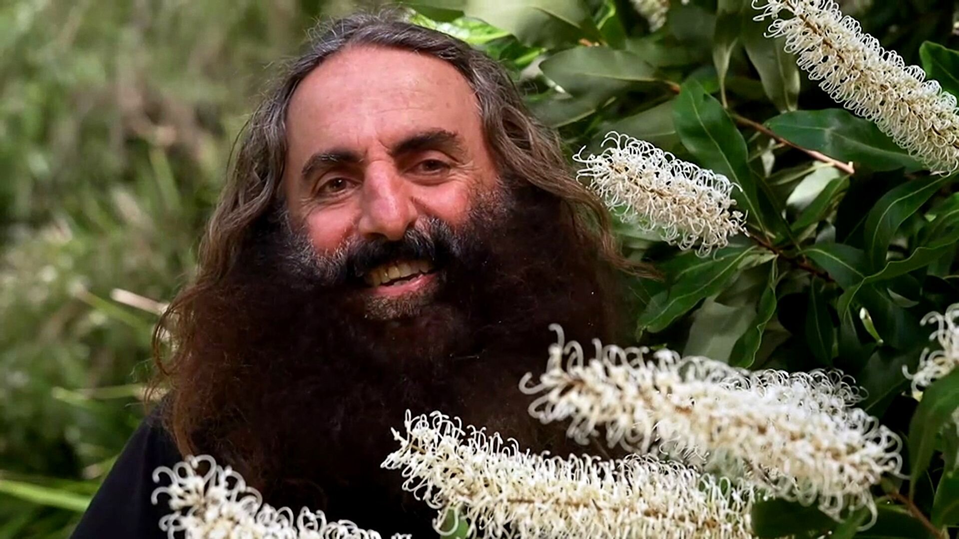 Gardening Australia S36E6 Episode 6 - Native Plants