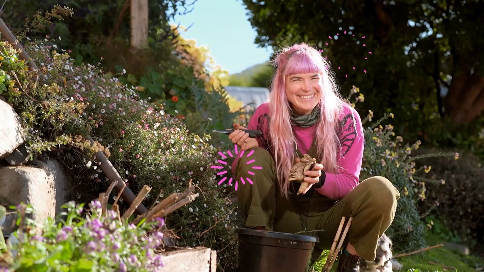 Gardening Australia S37E11 Episode 11 - Autumn: Coastal Succulents & Rustic Natives
