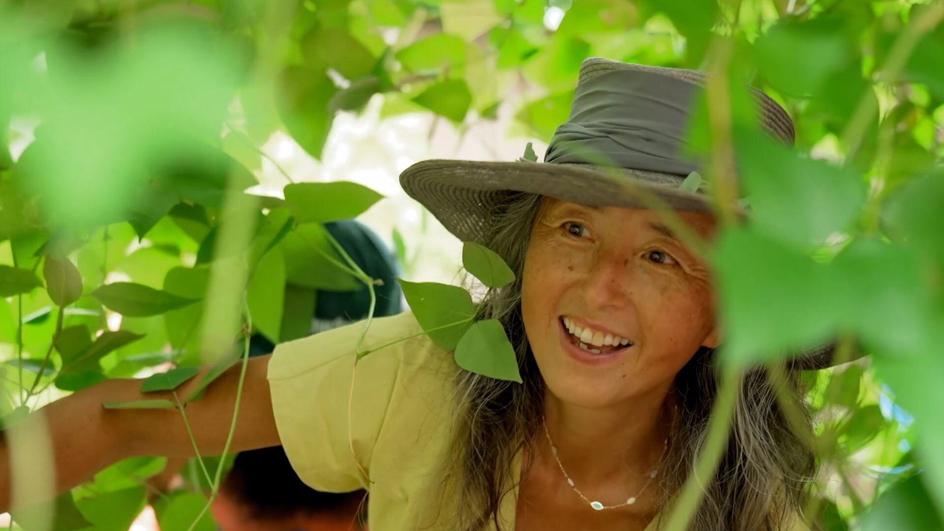 Gardening Australia S37E6 Episode 6 - Autumn: Organic Vegie Patch & Urban Grassland