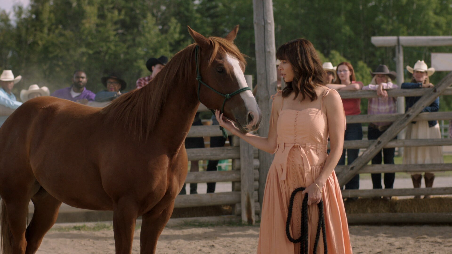 Heartland S18E10 Open House