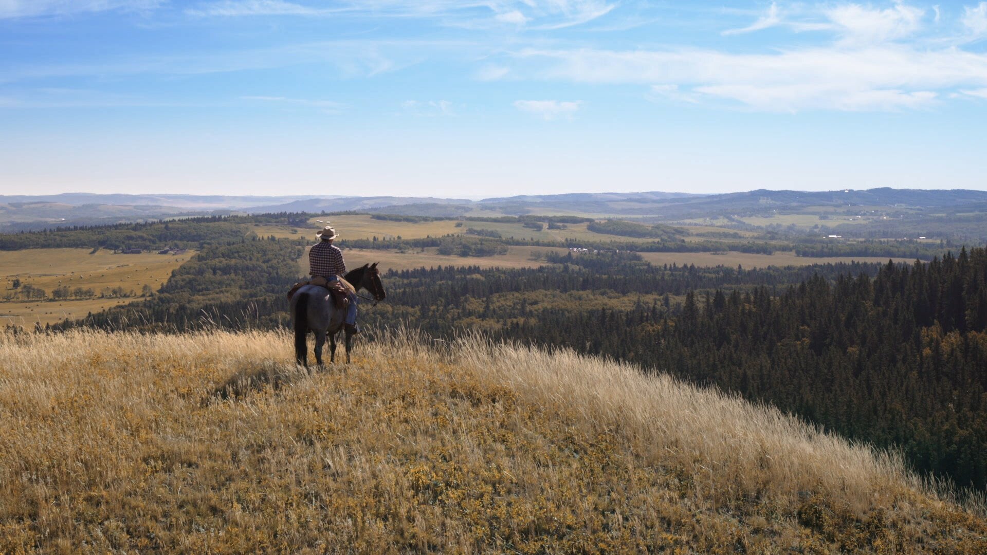 Heartland S18E3 You Can Lead a Horse to Water