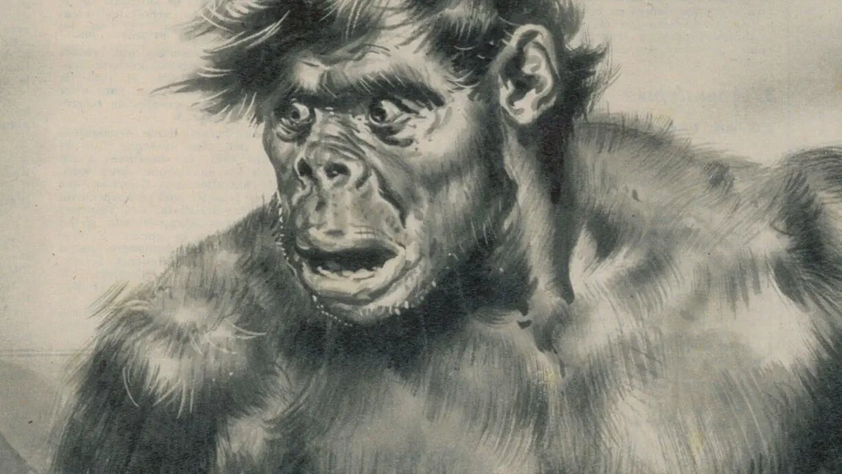 History's Greatest Mysteries S6E4 What is the Yeti?