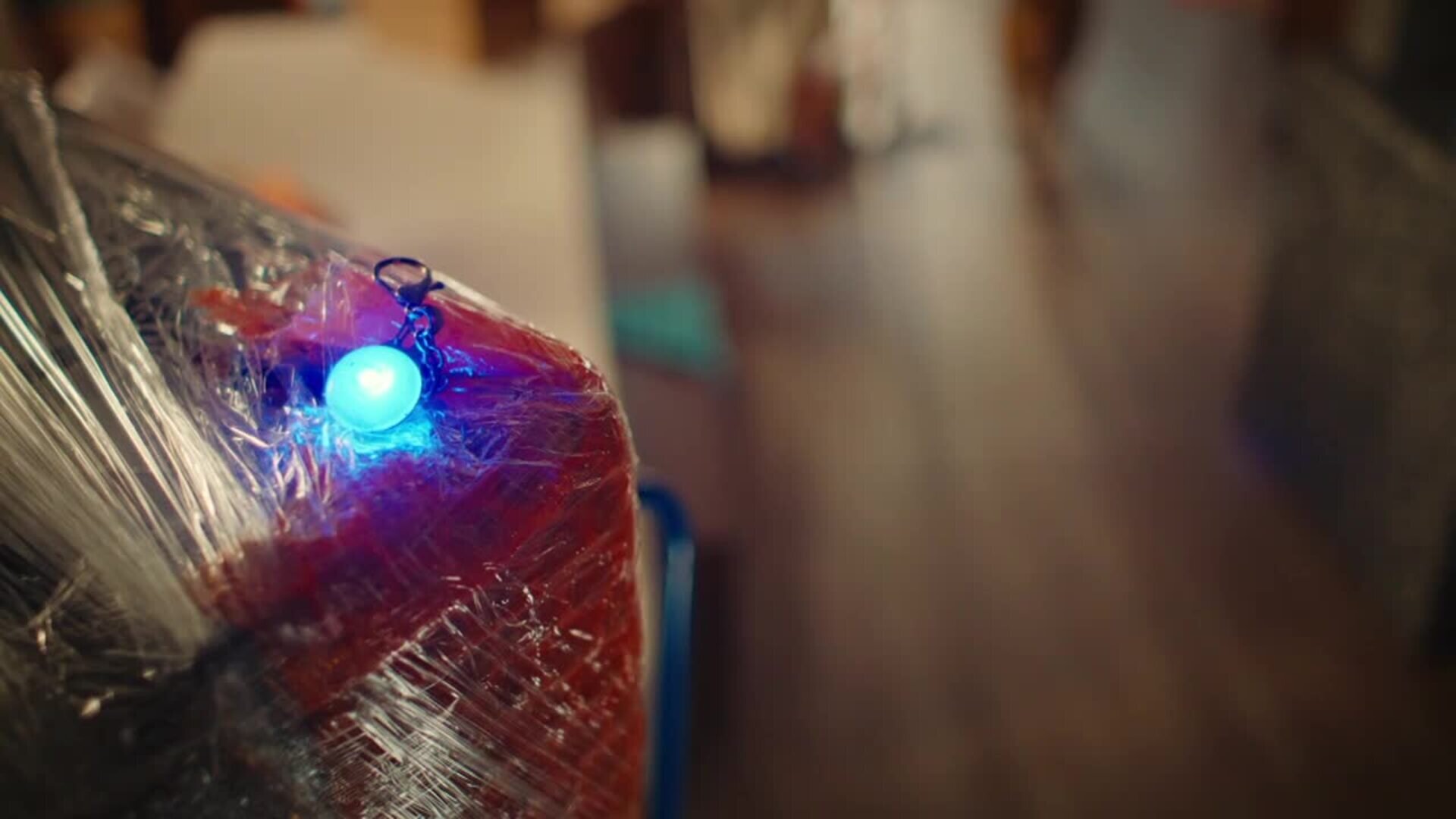 Hudson & Rex S7E2 A Room With A Clue