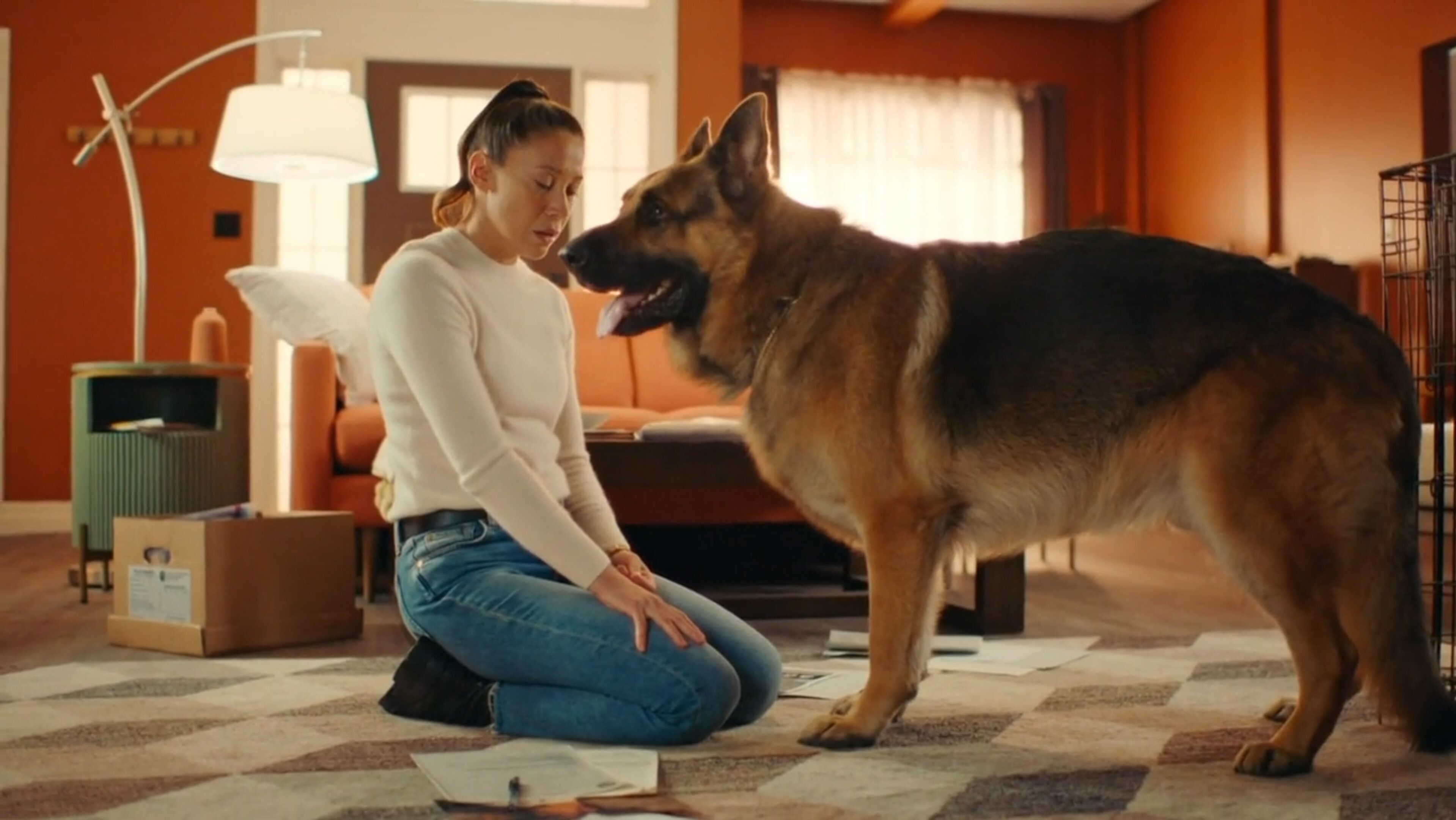 Hudson & Rex S7E5 In From the Cold