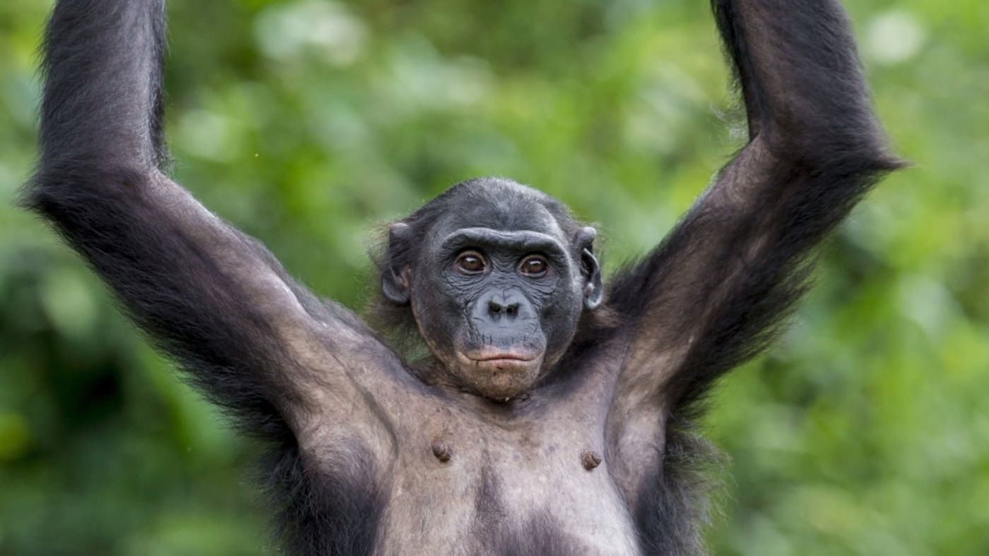 I Was Prey S1E1 Feeding Frenzy