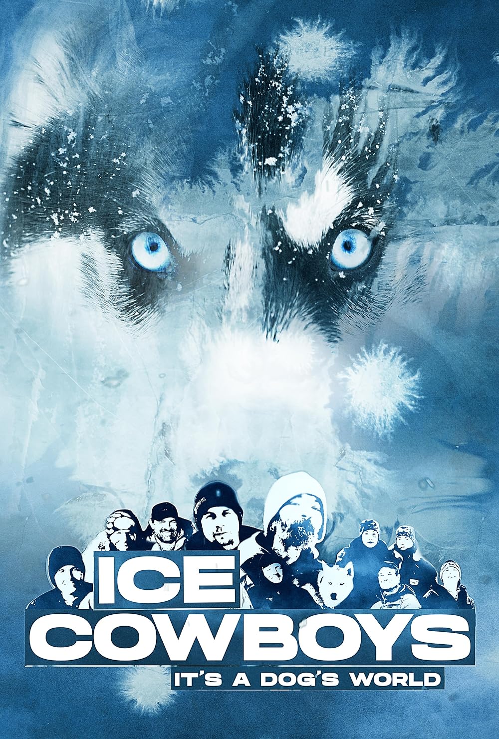 Ice Cowboys - It's a dog's world