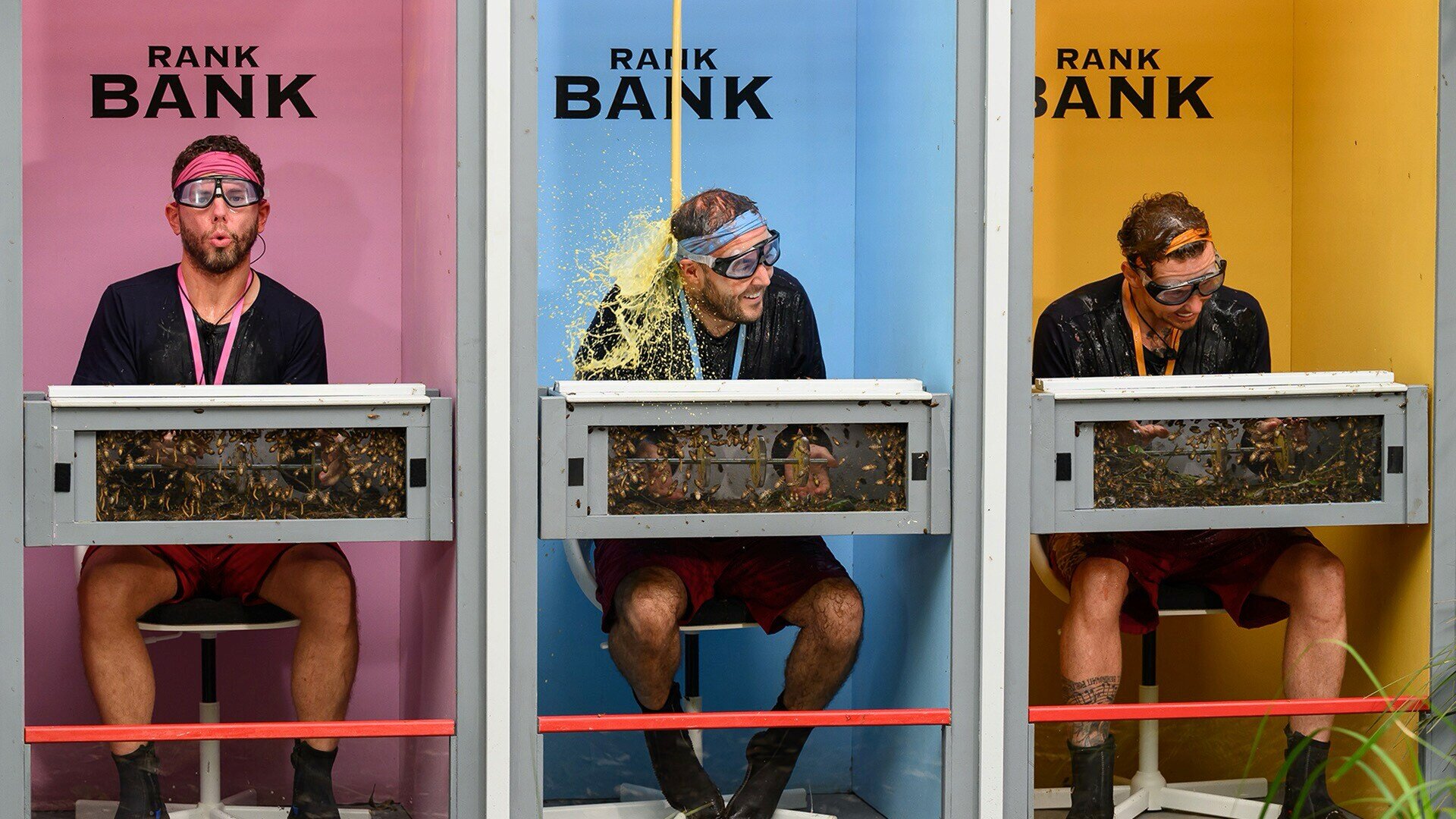 I'm a Celebrity, Get Me Out of Here! S24E12 Episode 12