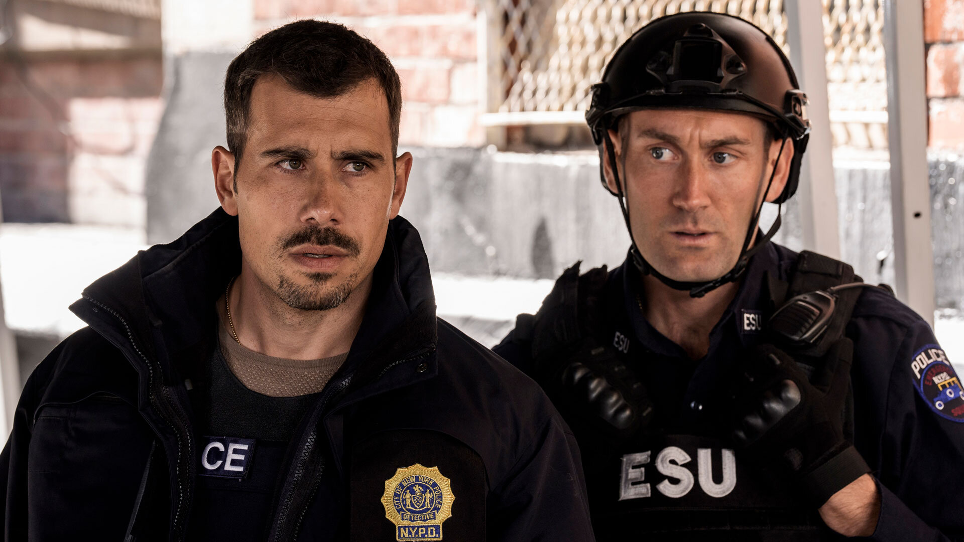 Law and Order: Special Victims Unit S26E8 Cornered