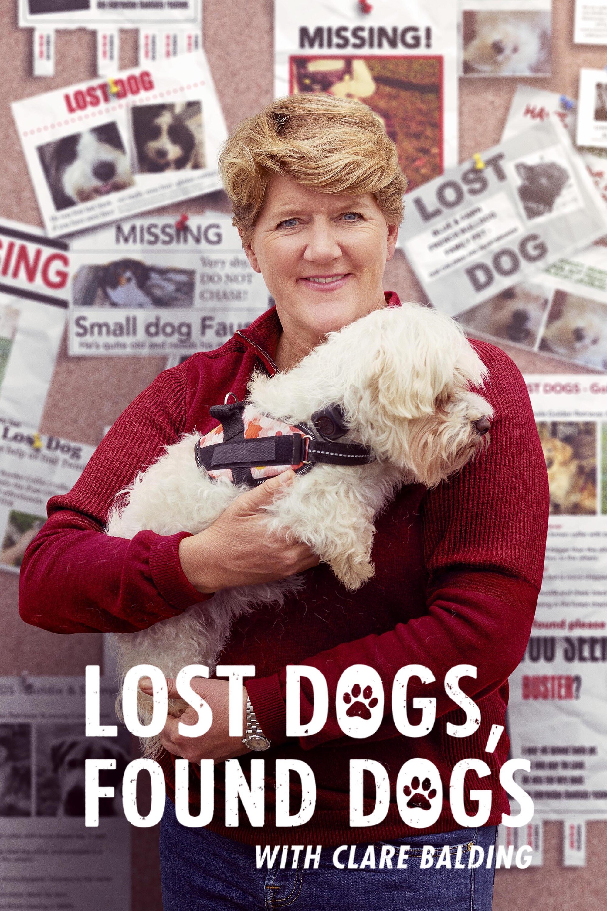 Lost Dog, Found Dog with Clare Balding