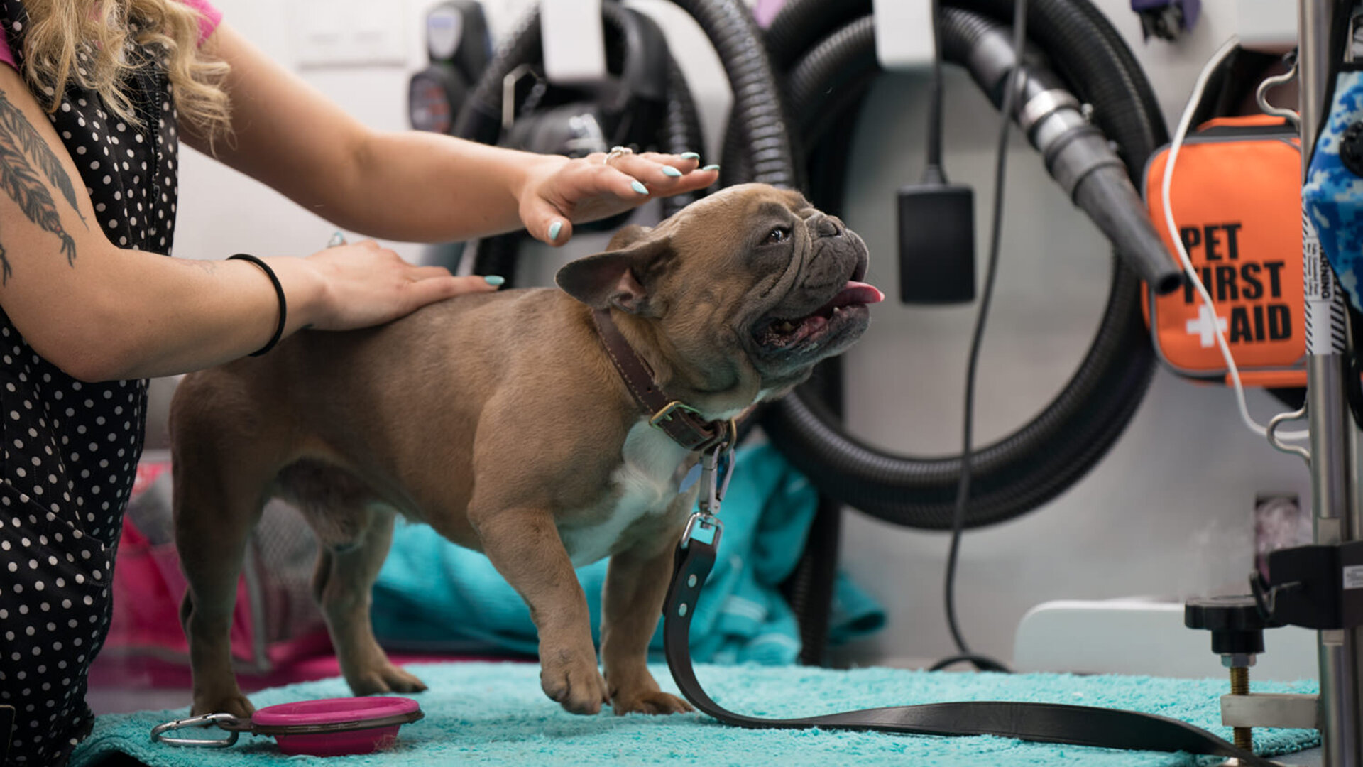 Most Expensivest S1E3 Doggy Style