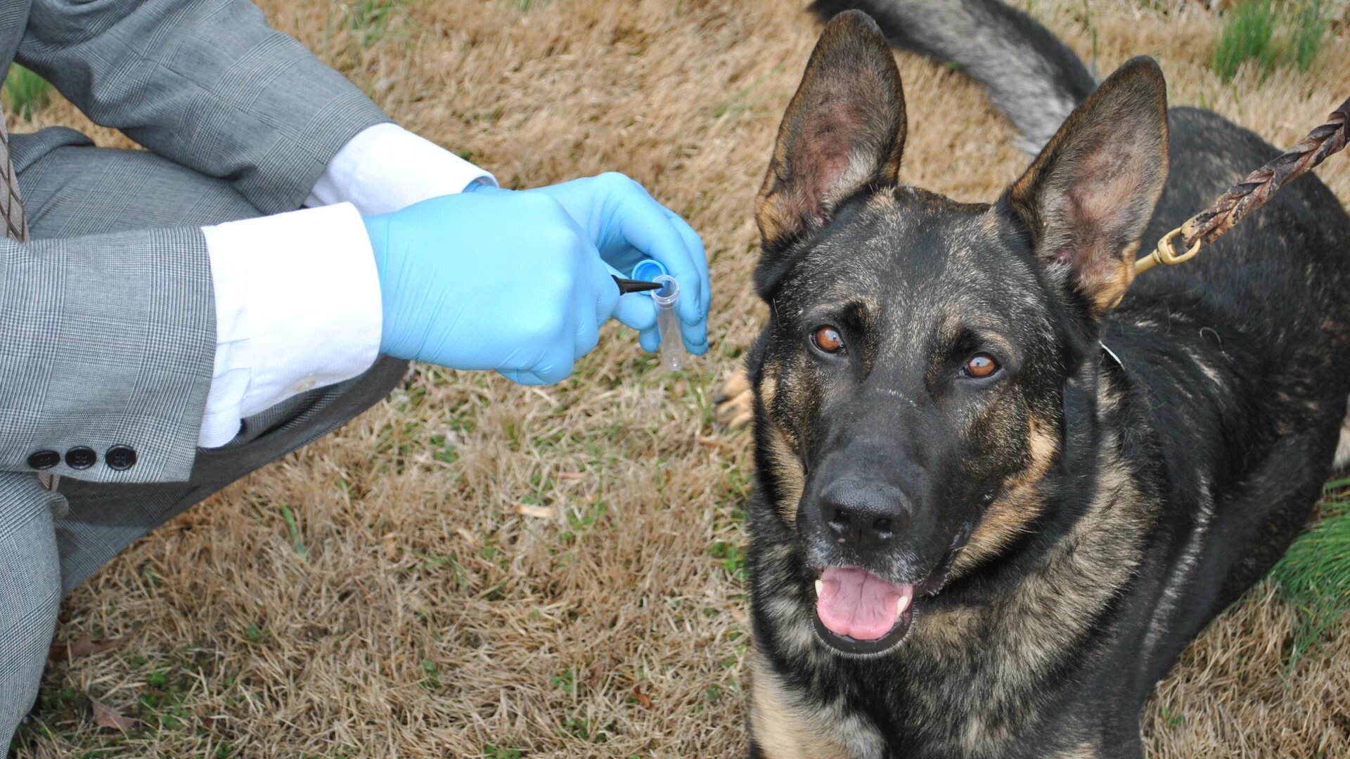 Murder by Numbers S1E2 Dog Days of Murder