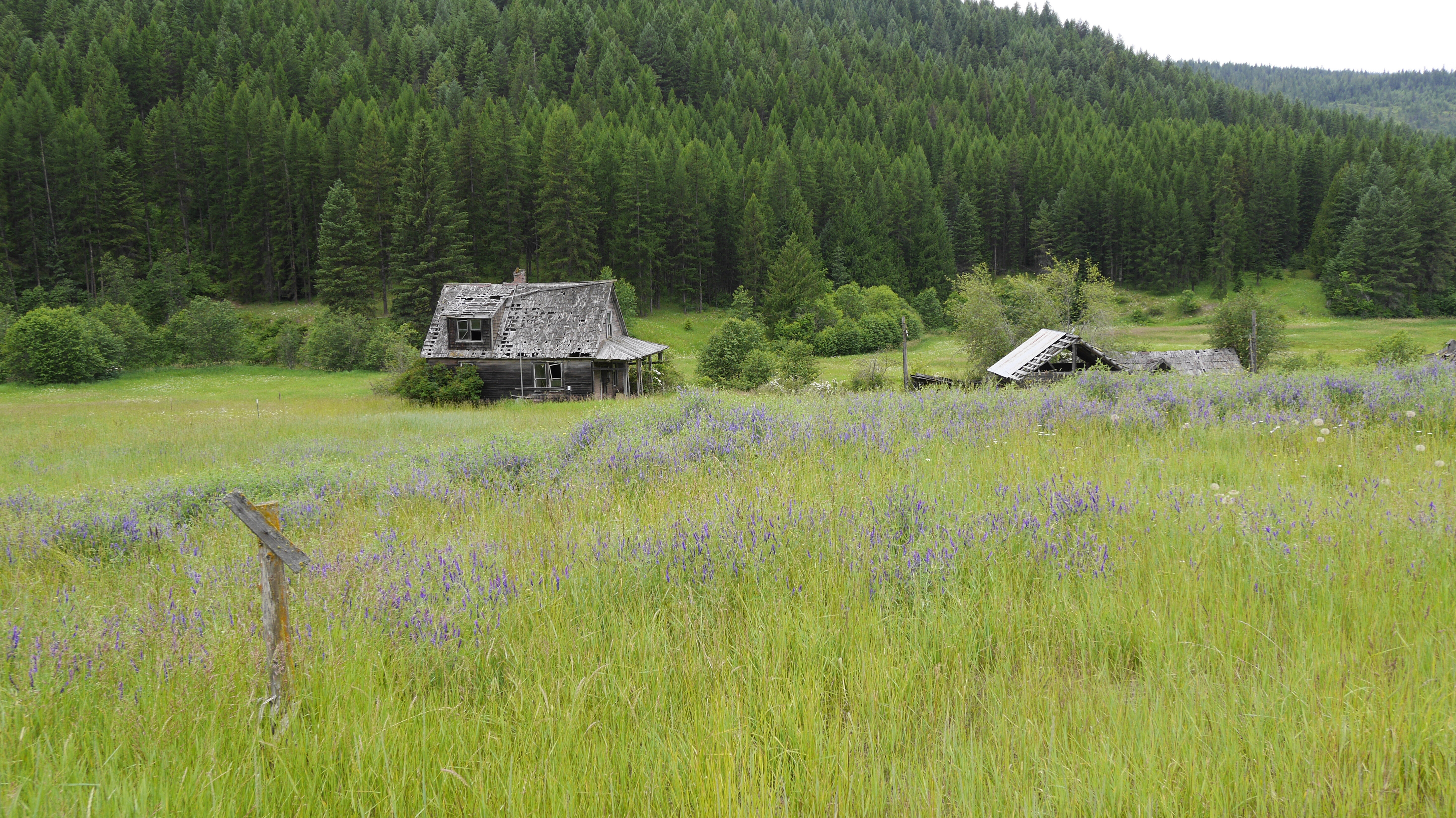 Murder Comes to Town S2E3 Who Killed Thanksgiving?