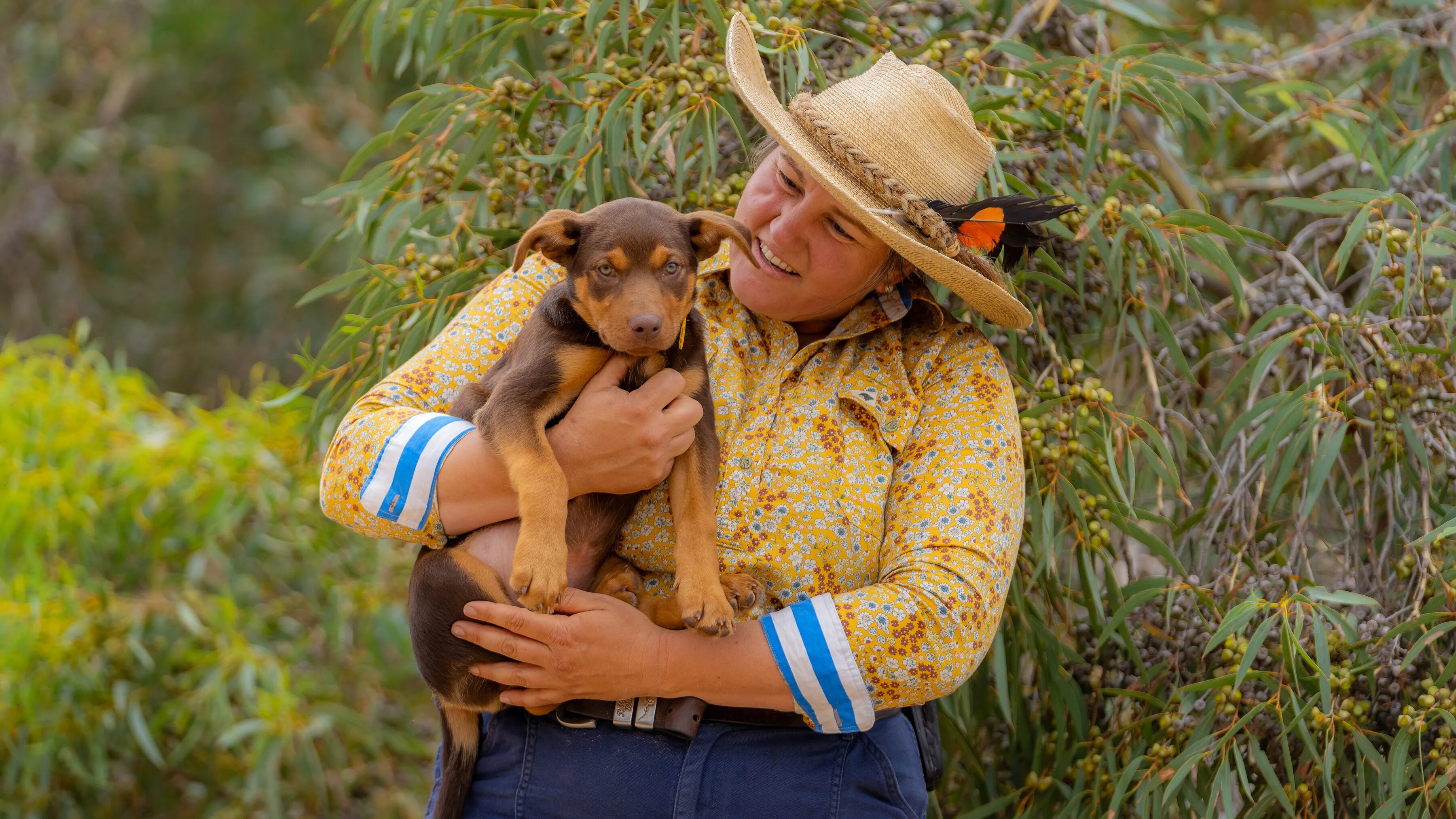 Muster Dogs S3E1 Episode 1