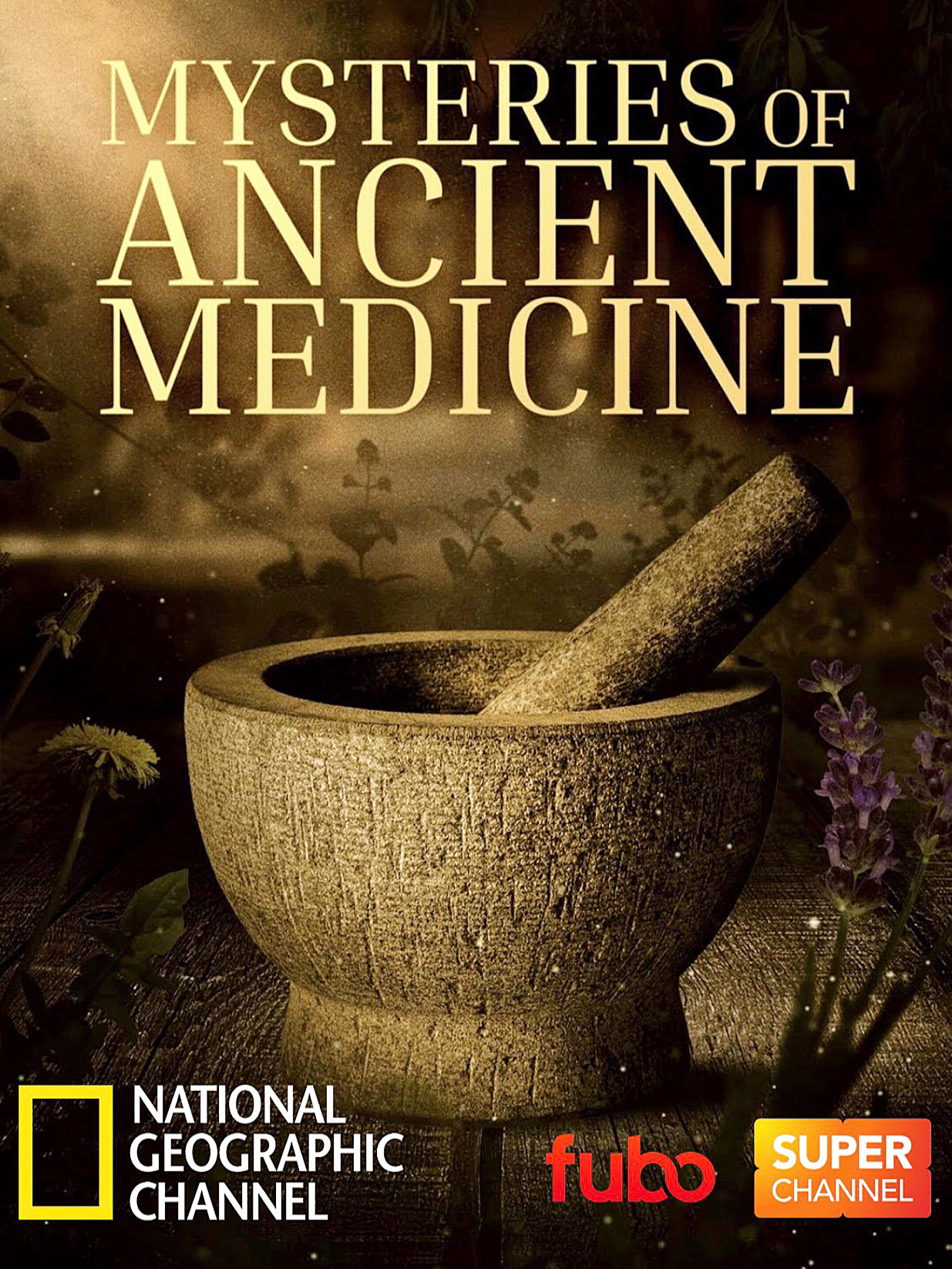 Mysteries of Ancient Medicine