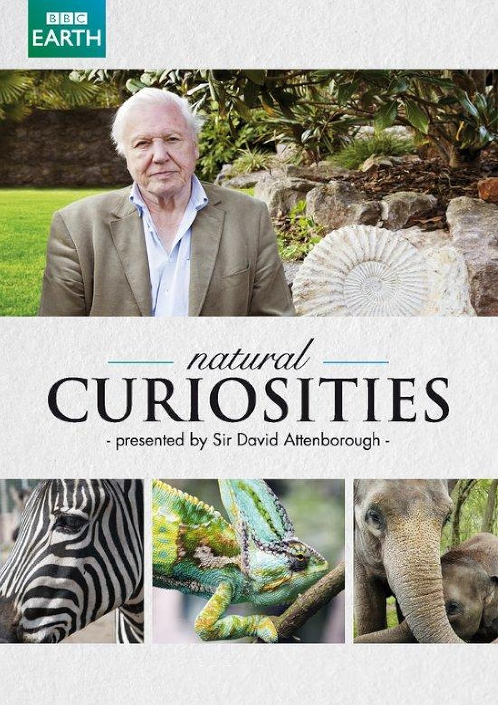 Natural Curiosities